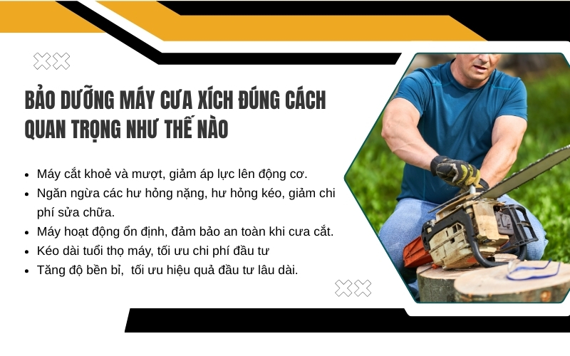Bảo dưỡng máy cưa xích đúng cách quan trọng như thế nào